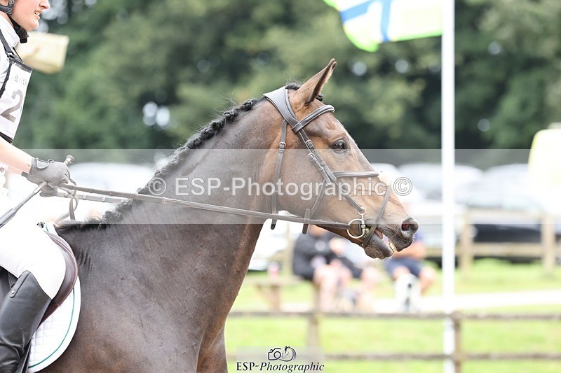 240803-130115-05292 - 211-Bethany_Hull-CARRICK_DIAMOND_OLIVER