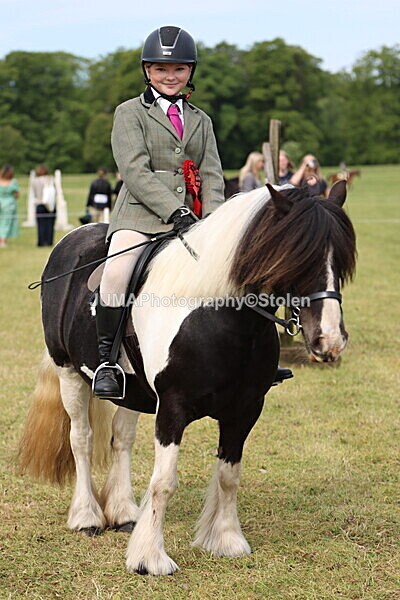 IMG_2417 - Working Hunter