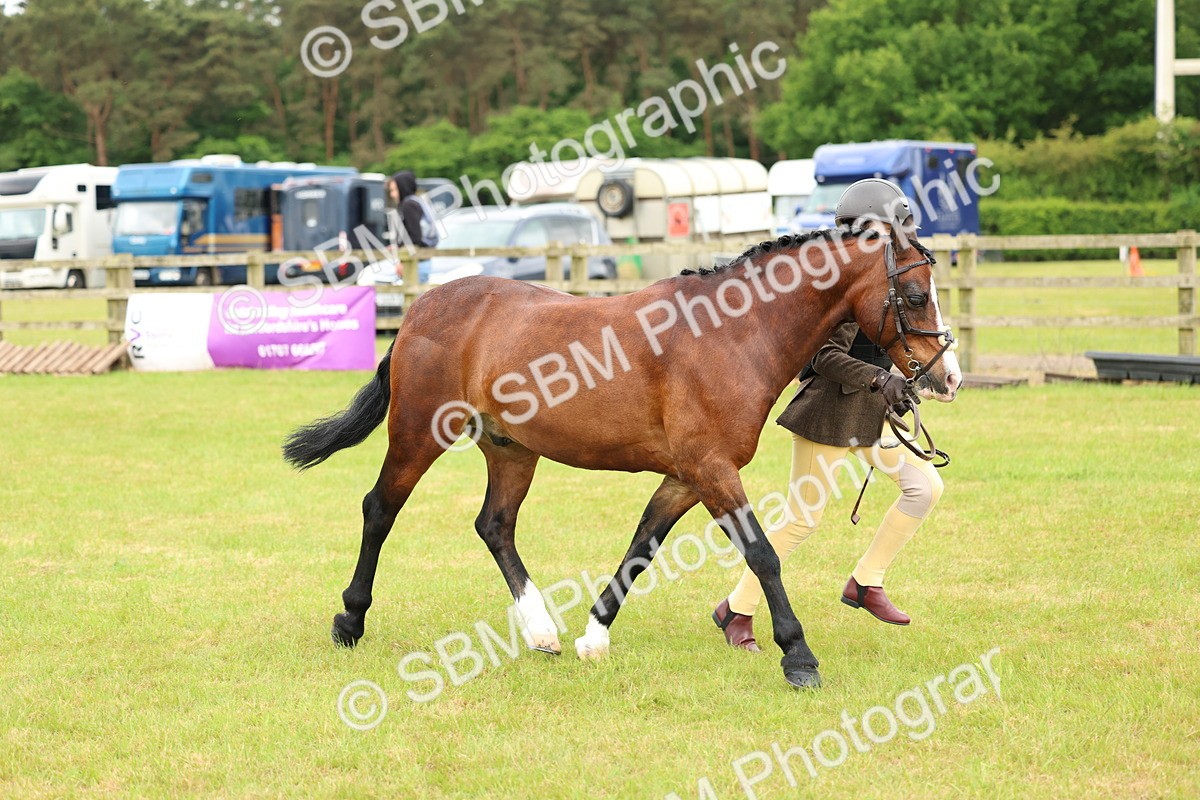 SBM_10334 - Class 44-45 - LIHS BSPS Open Nursery and Cradle Stakes