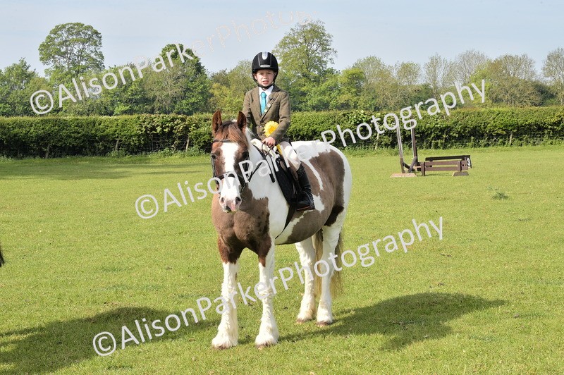 20260426-0948 - Class 18 - Novice Showing