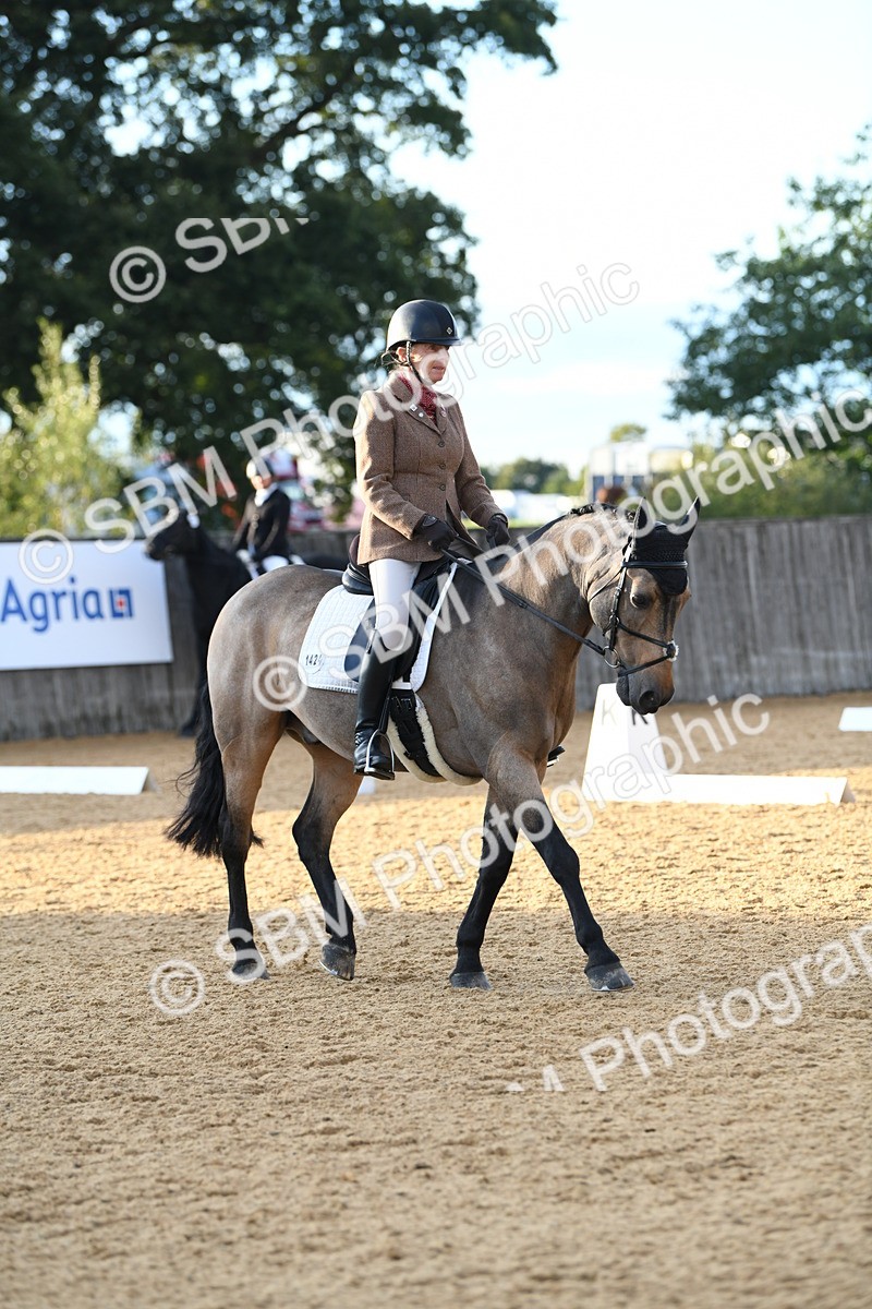 SBM_13441 - D19 Small Tour Championship Elementary 42