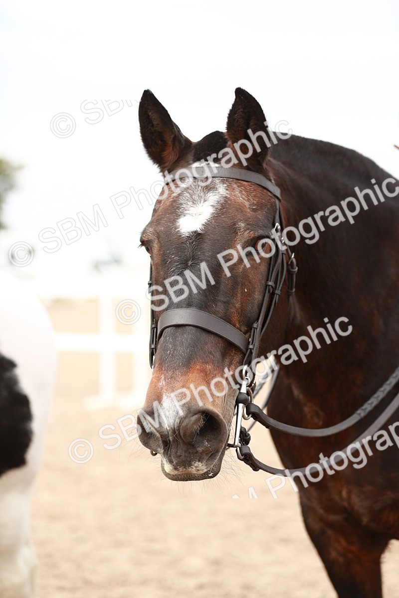 SBM_16727 - Class 214 Ridden Cob