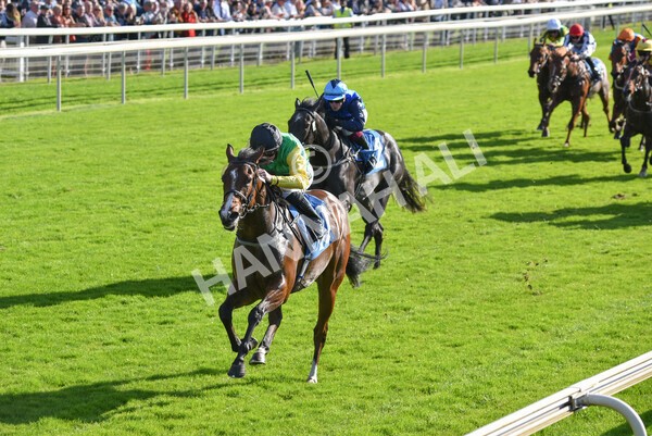 yr08102021r2-20 - Race 2 2.40pm Racing to School EBF Novice Stakes