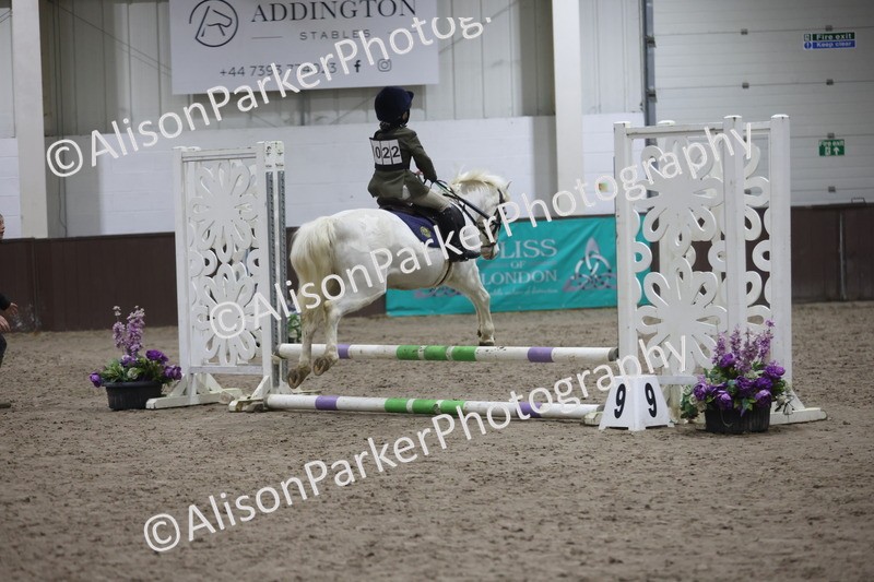 20260125-1075 - Class 2 - 50cm