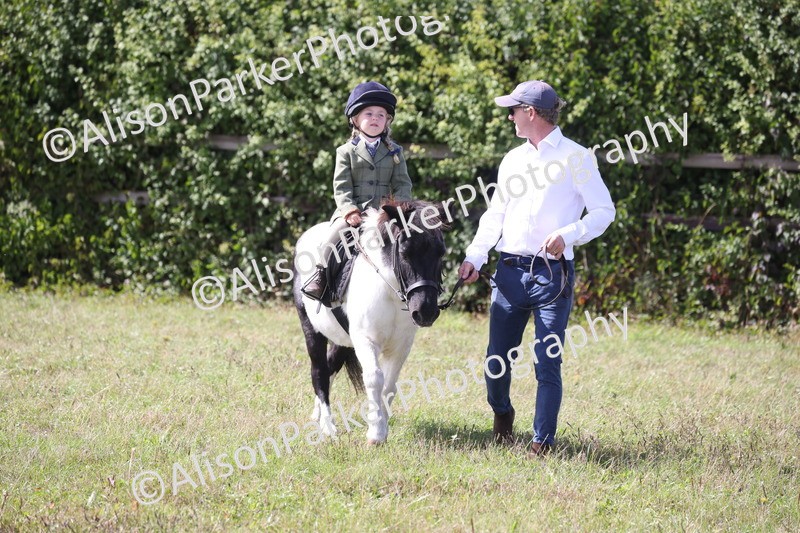 20260906-2721 - Class 25 - Absolute Beginners Pony