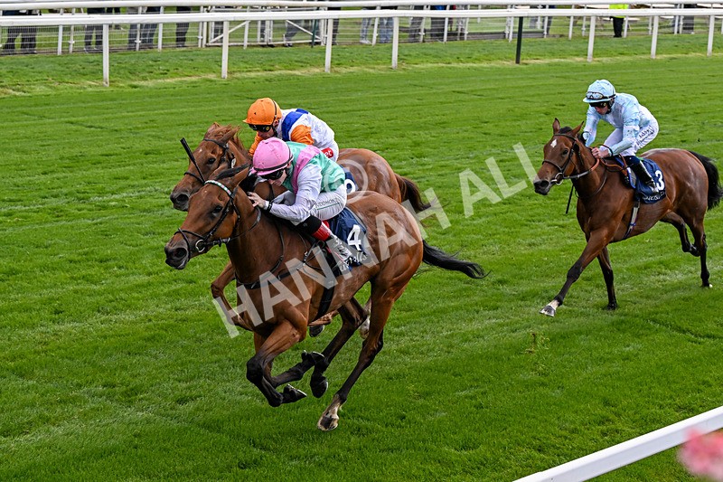 130526-Race 5-Legacy Link-0316 - Race 5 4.05pm Tattersalls Musidora Stakes