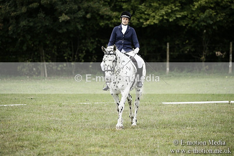 BVR080918 113 - BVRC Novice Dressage & CR 08/09/18