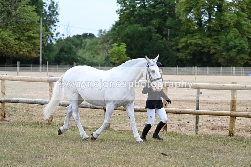 WJ7_8870 - Class 4a Prettiest Mare 14.2hh and over