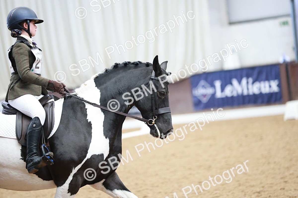 SBM_003868 - Class 2 - Novice 2020