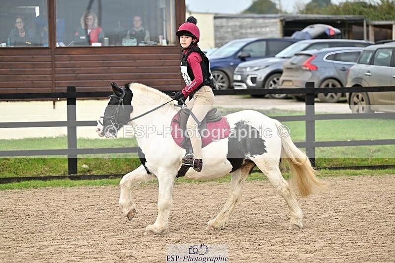 241110-115138-00542 - 50-55cm Arena Eventing