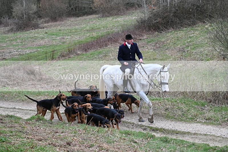 WJ7_7322 - Walk Home