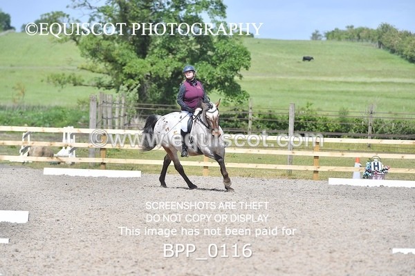 BPP_0116 - SHORT ARENA  MY QUEST PRELIM