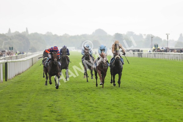 080924-Race 4-Zain Blue-4469 - Race 4 3.25pm PJ Staffing Group Handicap