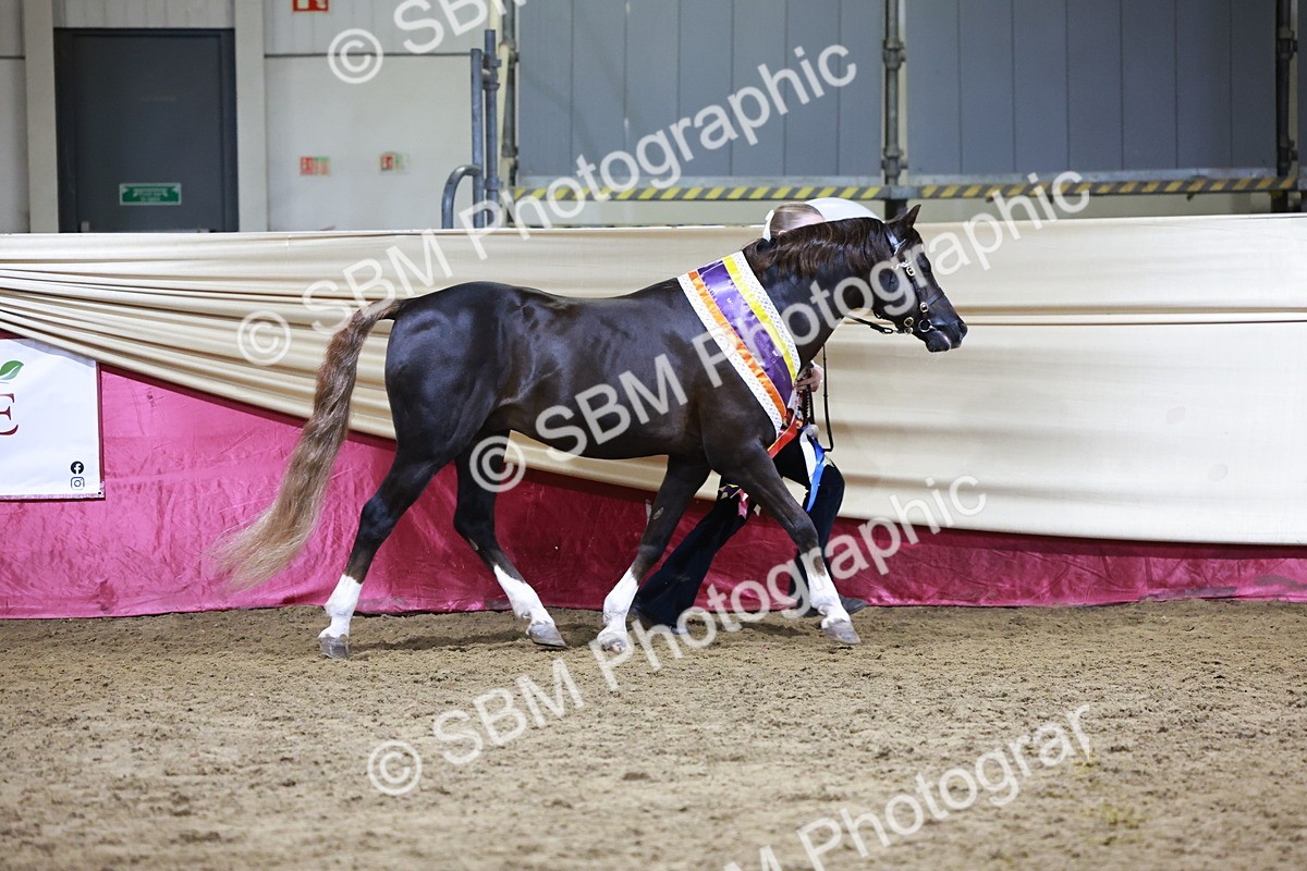 SBM_21091 - Class P - M&M Champs