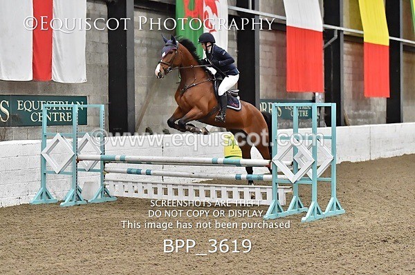 BPP_3619 - FRI CLASS 21 BR NOVICE/90CM