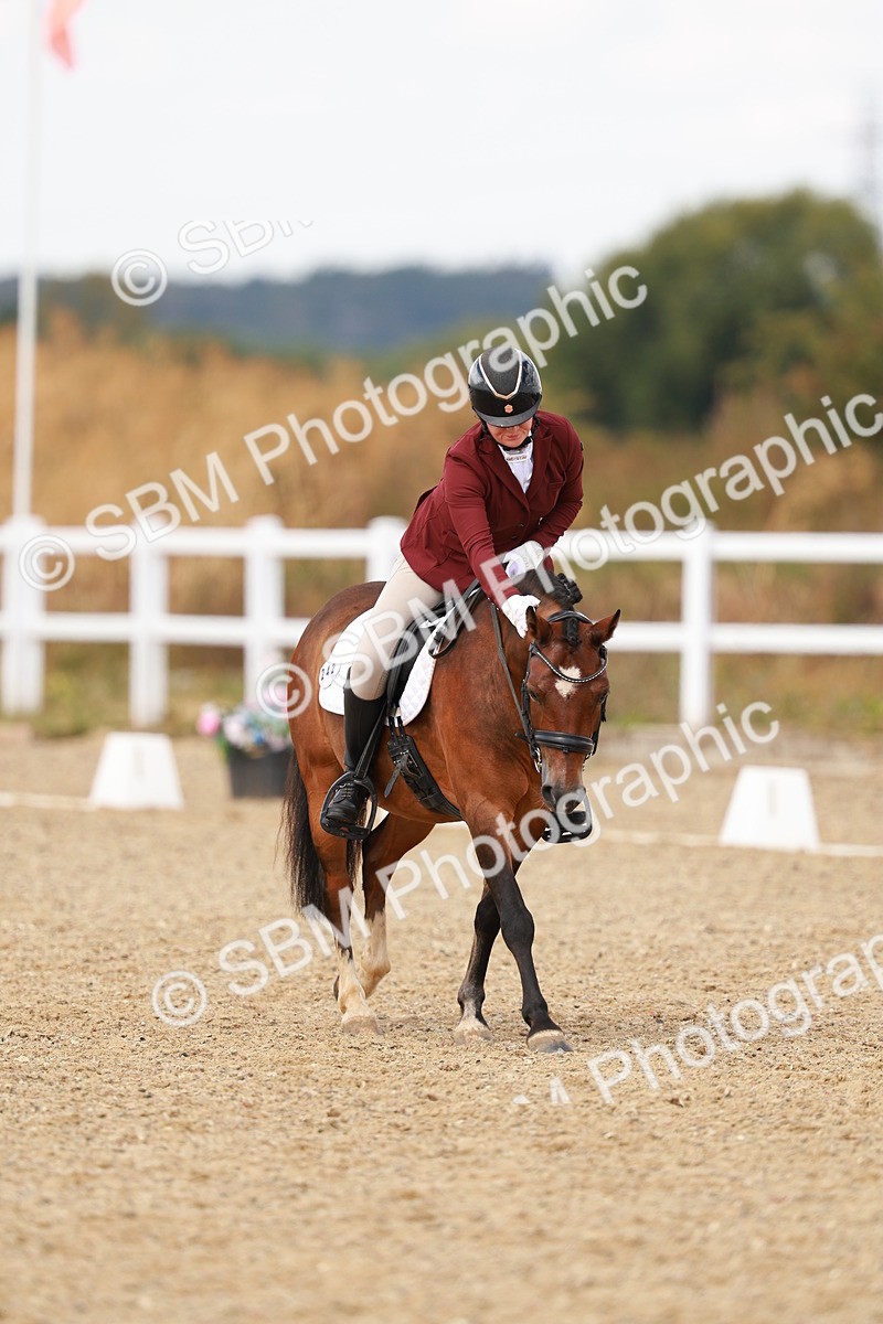 SBM_018661 - Class 9 - N5 Bronze 11.57.13.07