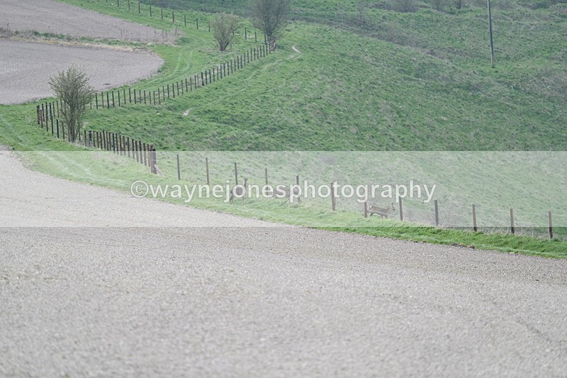 WJ7_7982 - Line 2 A camera