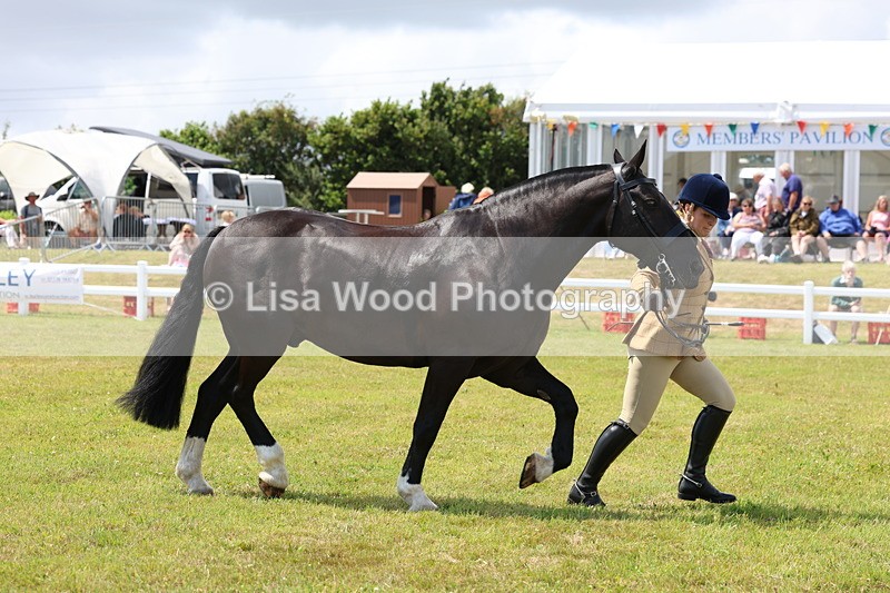 3E7A2176 - Class 10: Open Cob