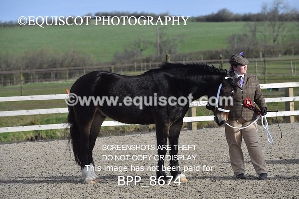 BPP_8674 - RING 2 - M&M