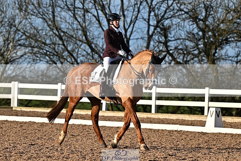 241214-142124-02805 - 112-kelly.jewell-Avalon