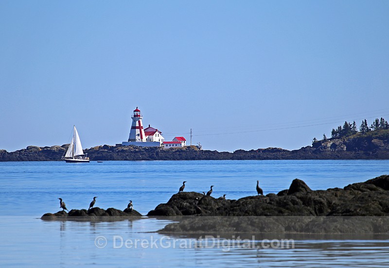 Head Harbor Lighstation East Quoddy Vista Campobello New Brunswick - Fundy Postcards