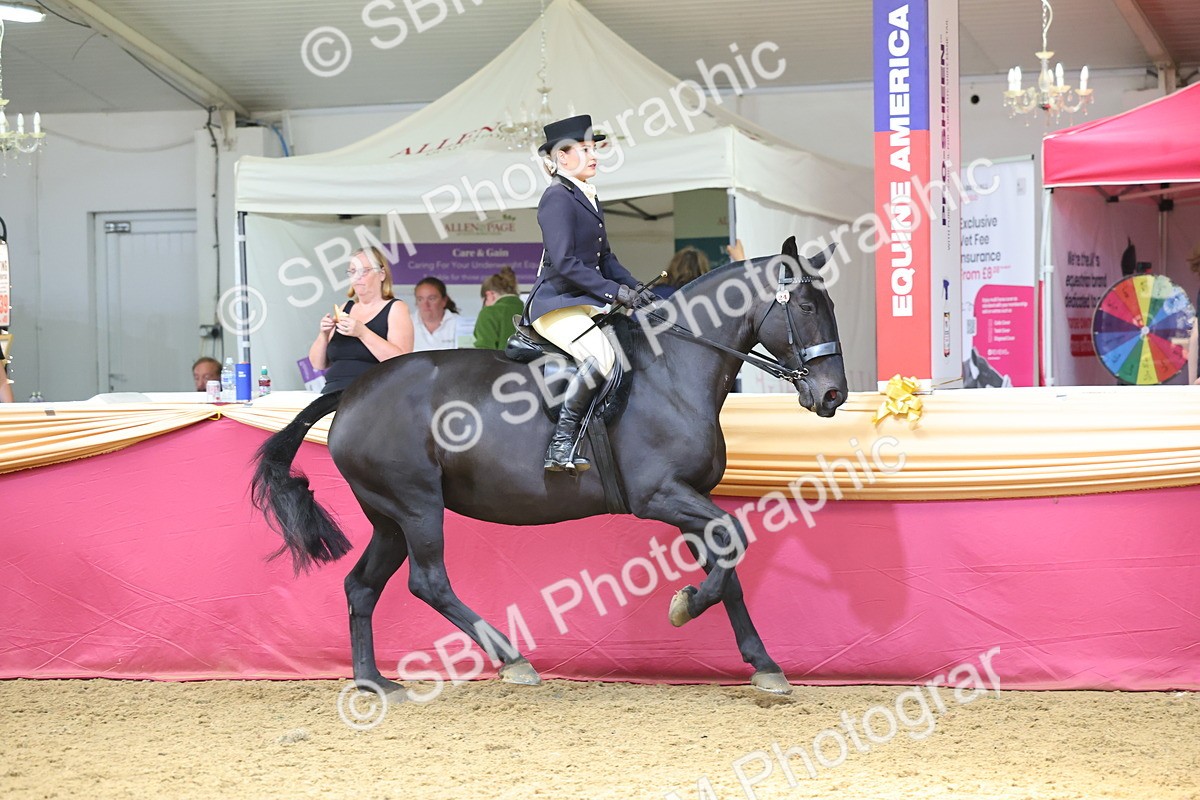 SBM_23905 - Class 905 - Supreme Final - Ridden Veteran
