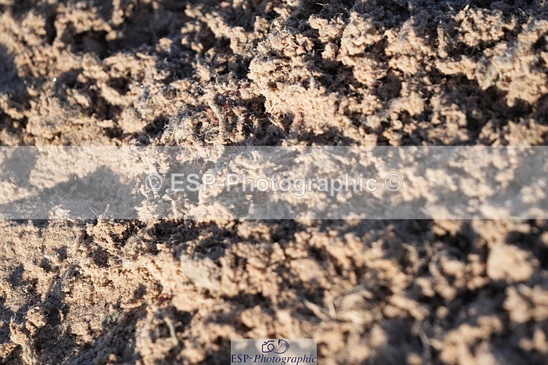 251108-092425-01955 - Cls 10 Discovery and 1m Open