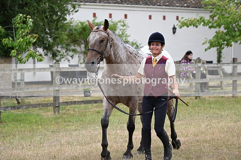 WJ6_8008 - Class 10 Coloured in Hand