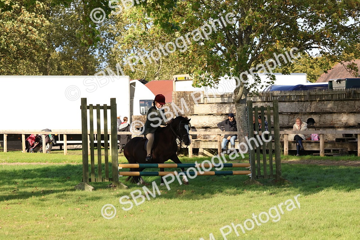 SBM_52544 - S13 - Pony Club Pony