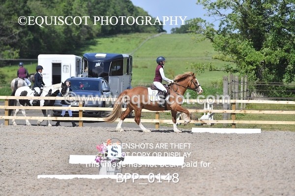 BPP_0148 - SHORT ARENA  MY QUEST PRELIM