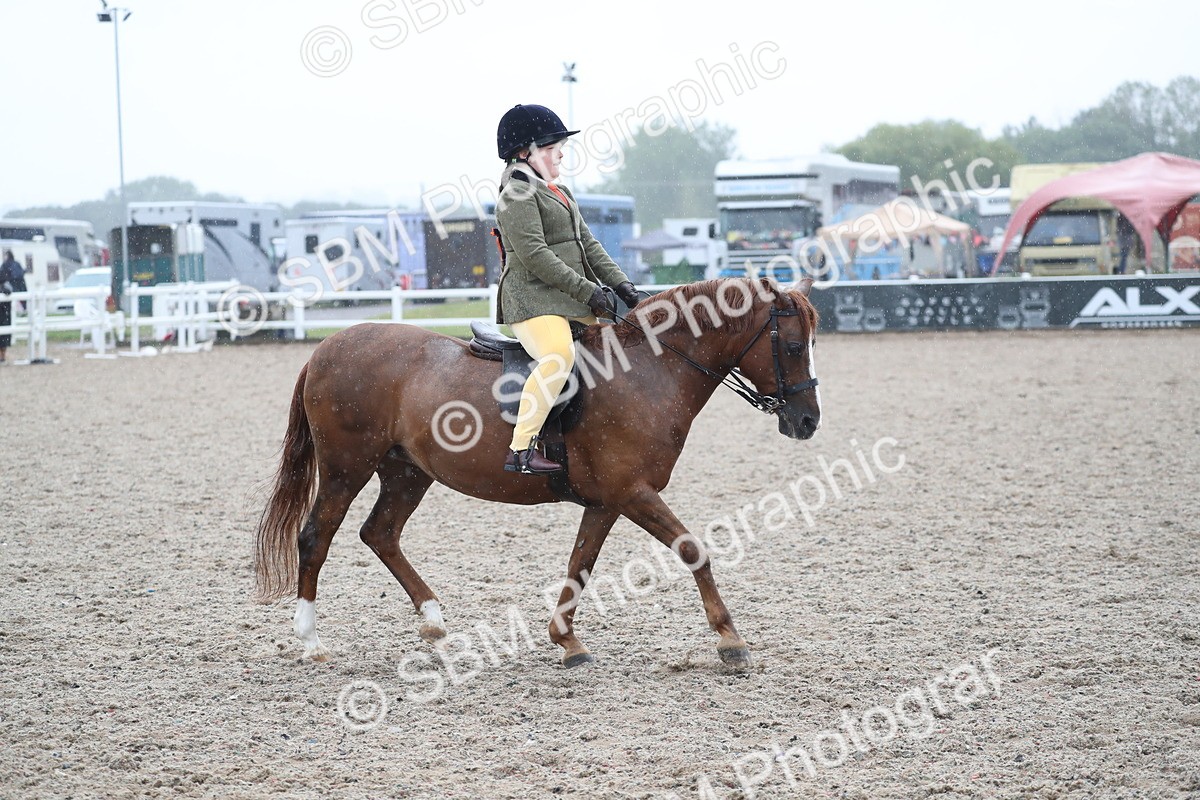 SBM_20499 - Class 601 - 2025 Area - Ridden Diamond