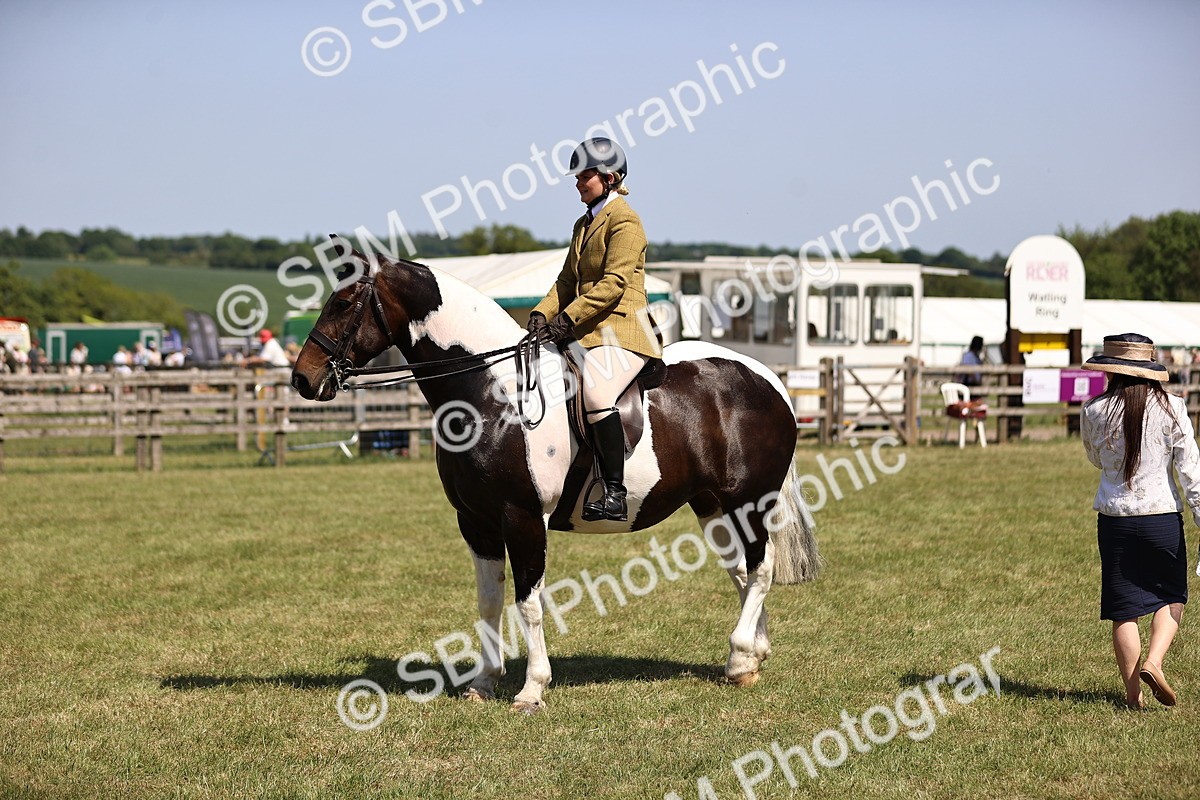 SBM_17893 - Class 81-83 - TSR Ridden Amateur of the Year - Horses