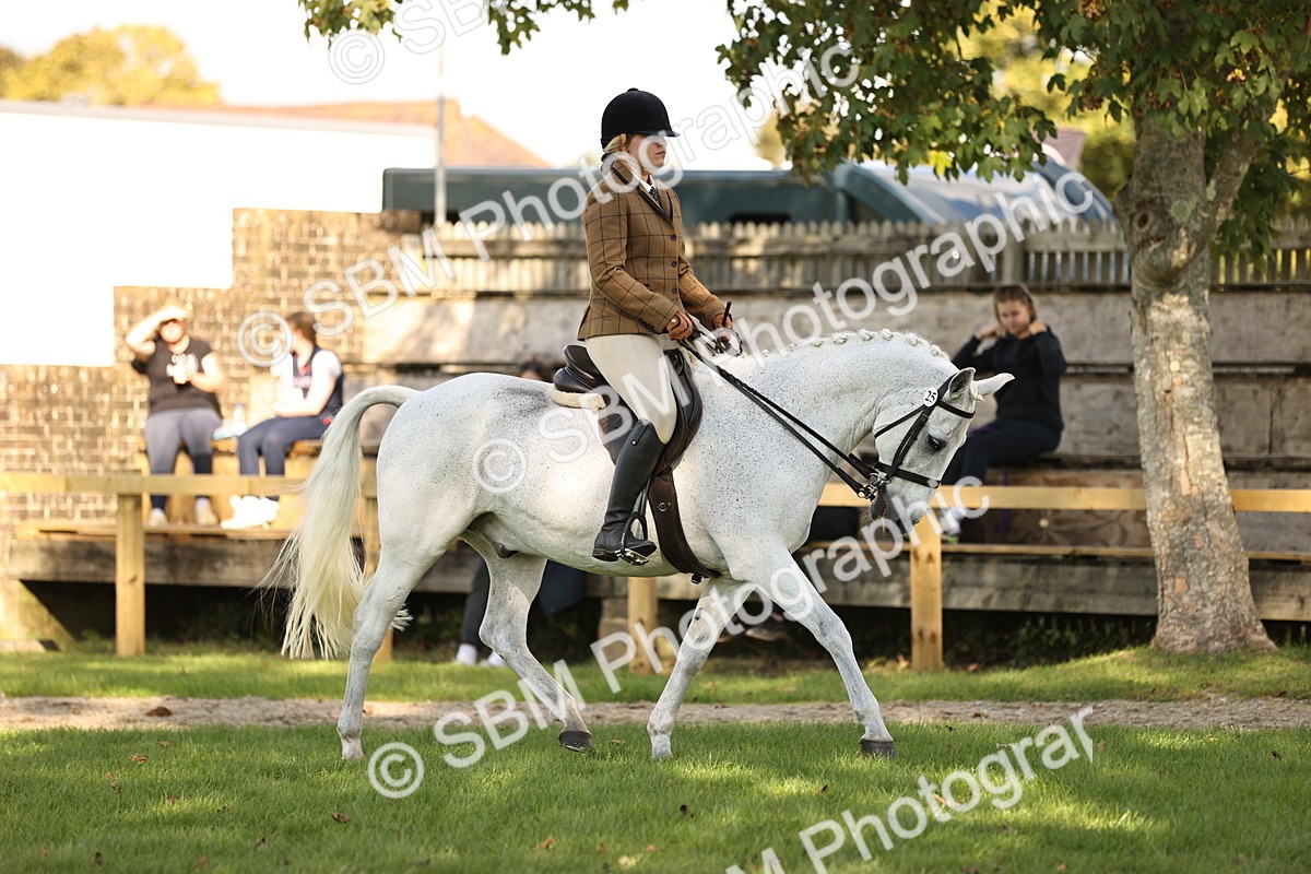SBM_26396 - S6 - Novice & Newcomers Ridden Horse
