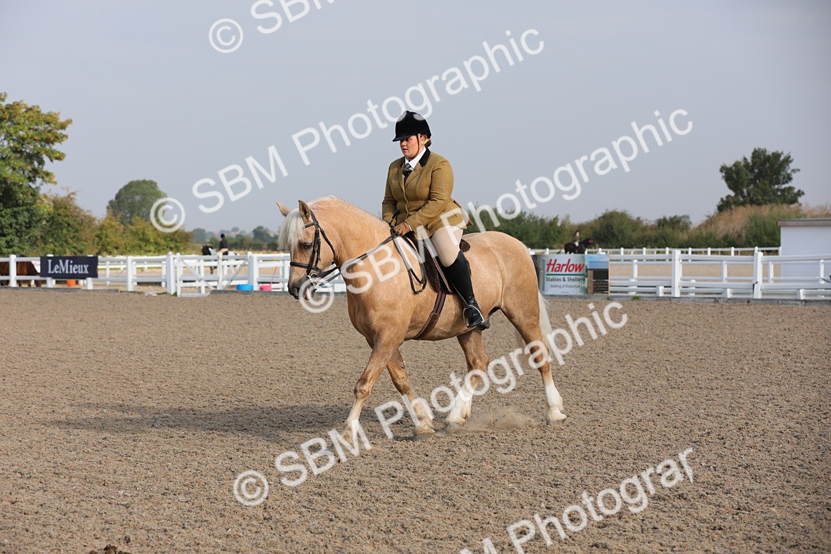 SBM_10107 - Class 302 Ridden M&M -Large Breeds