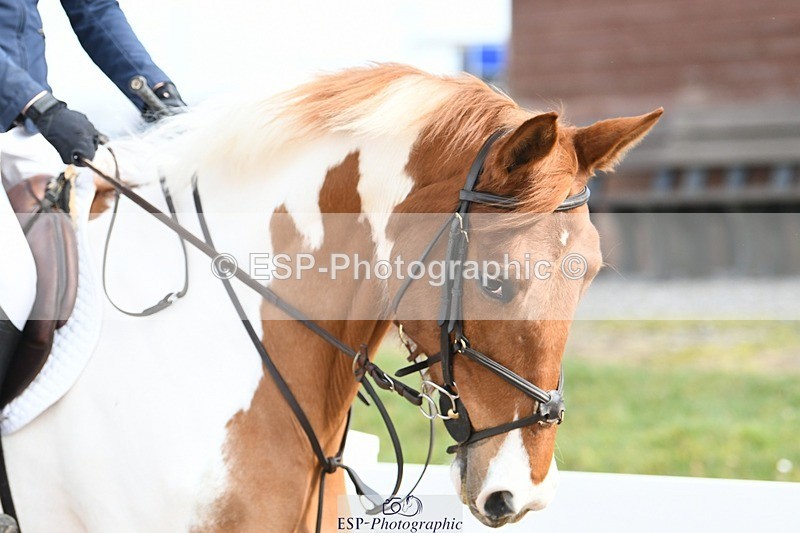 250309-112447-03601 - Cls 23+24 Club and Schools 80cm