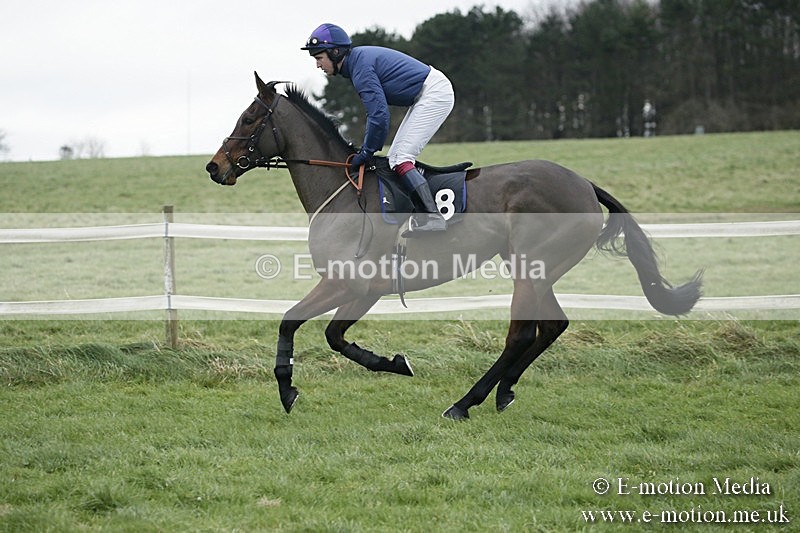 PtP 031217 537 - Hursley Hambledon Point-to-Point Larkhill 03/12/17