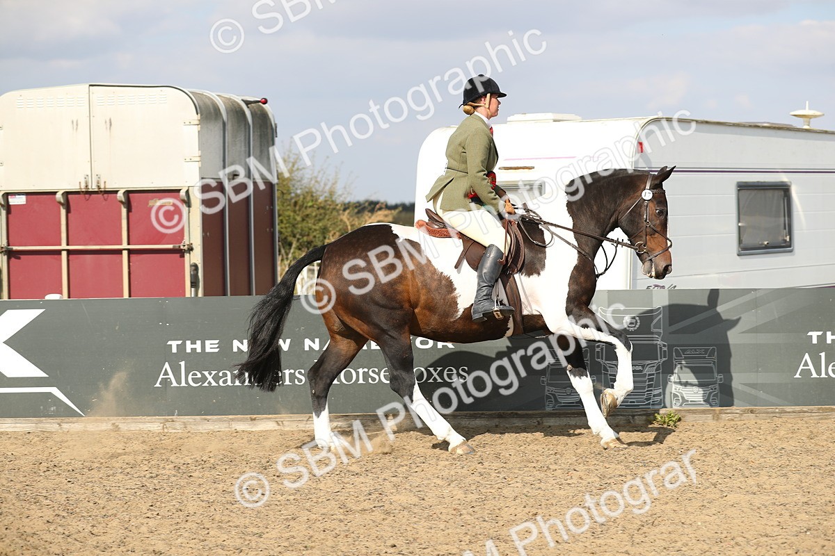 SBM_06944 - Class 49a Style & Performance 80cm (15-19)