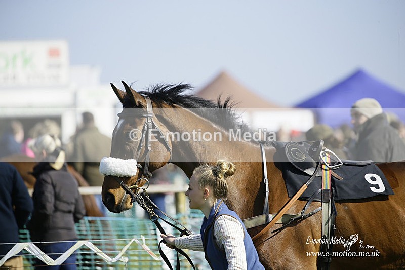 PtP 190322 448 - Wilton Hunt PtP Milborne St Andrew 19/03/22