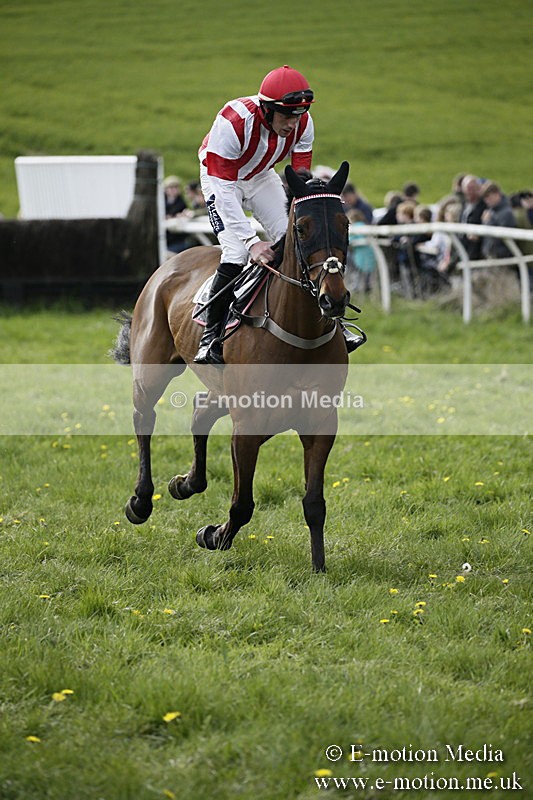 PtP 170417 418 - Old Berks Point-to-Point Lockinge 17/04/17