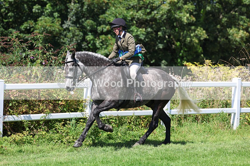 3E7A9244 - Working Hunter Championship