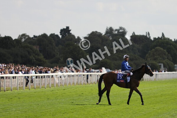 yr20082022r4-222 - Race 4 3.35pm Sky Bet Ebor