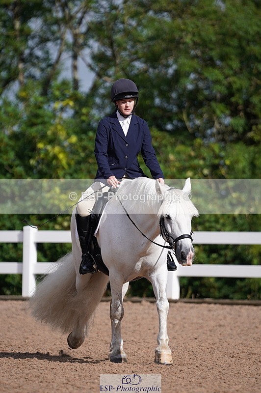 240809A-093236-00264 - Dressage Competition