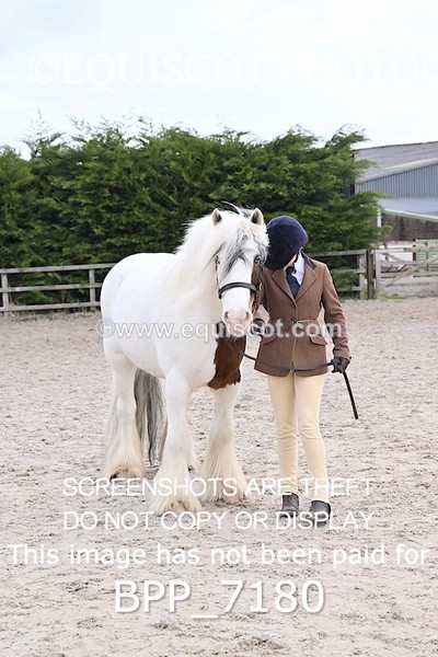 BPP_7180 - RING 1  (RIDDEN HORSES / IN HAND / VETERAN ETC)