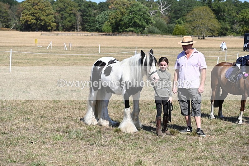 WJ6_9338 - Class 40 Cheekiest Pony/Horse