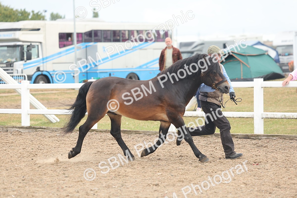 SBM_08471 - Class 29 - IH Veteran Pony