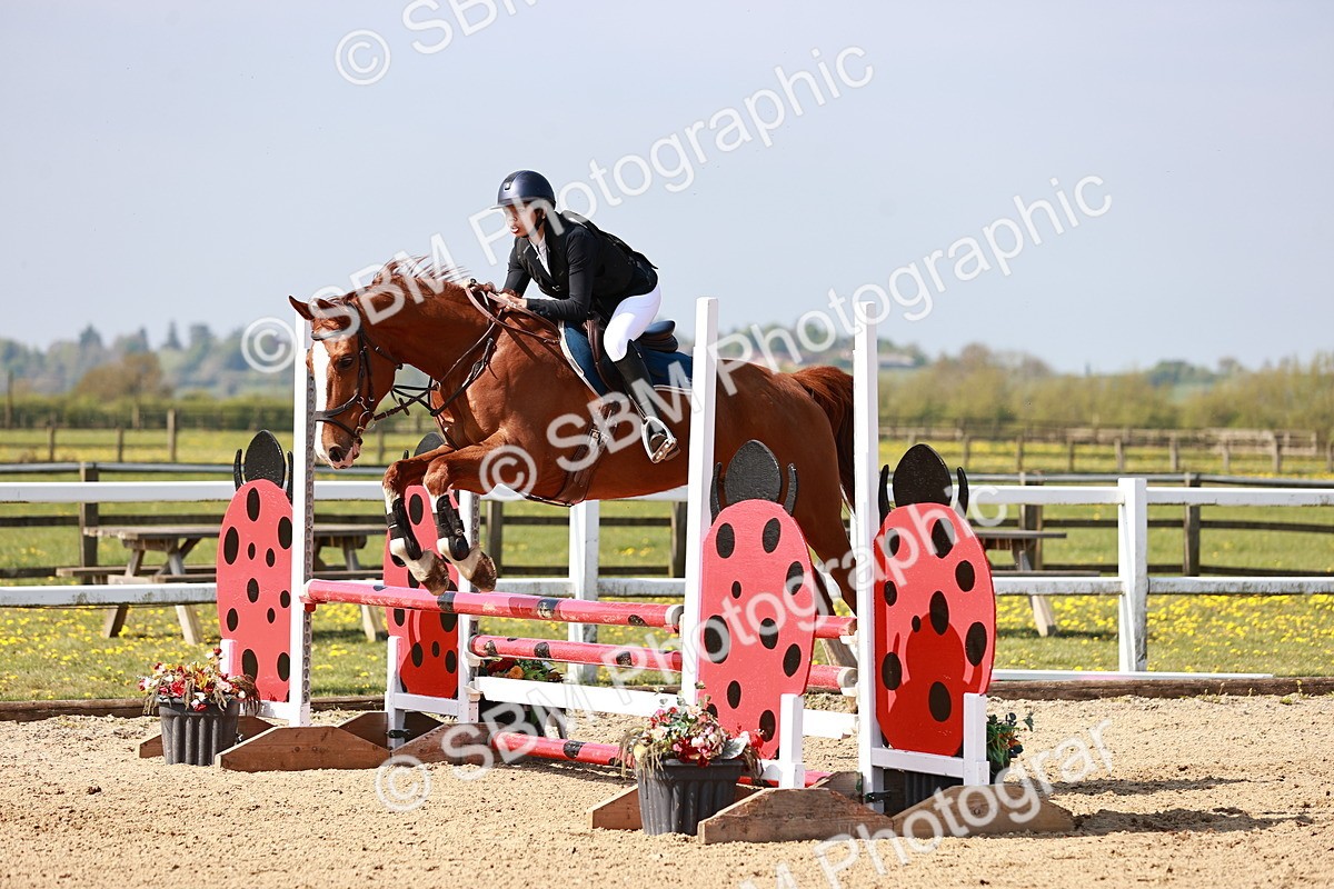  - Class 21 - Senior British Novice - 90cm