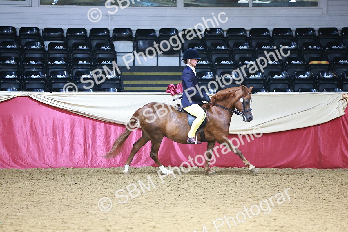 SBM_23330 - Class 904 - Supreme Final - Ridden Diamond