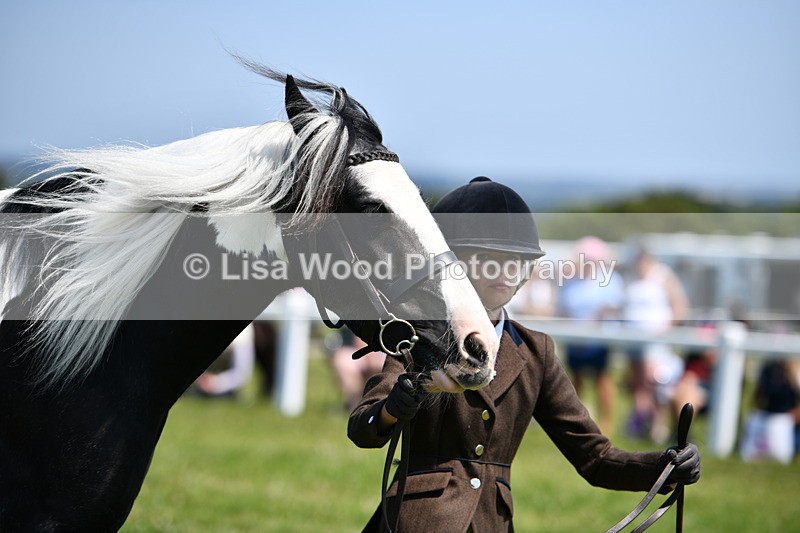 DSC_7691 - Class 64: Coloured Pony 4yrs & over