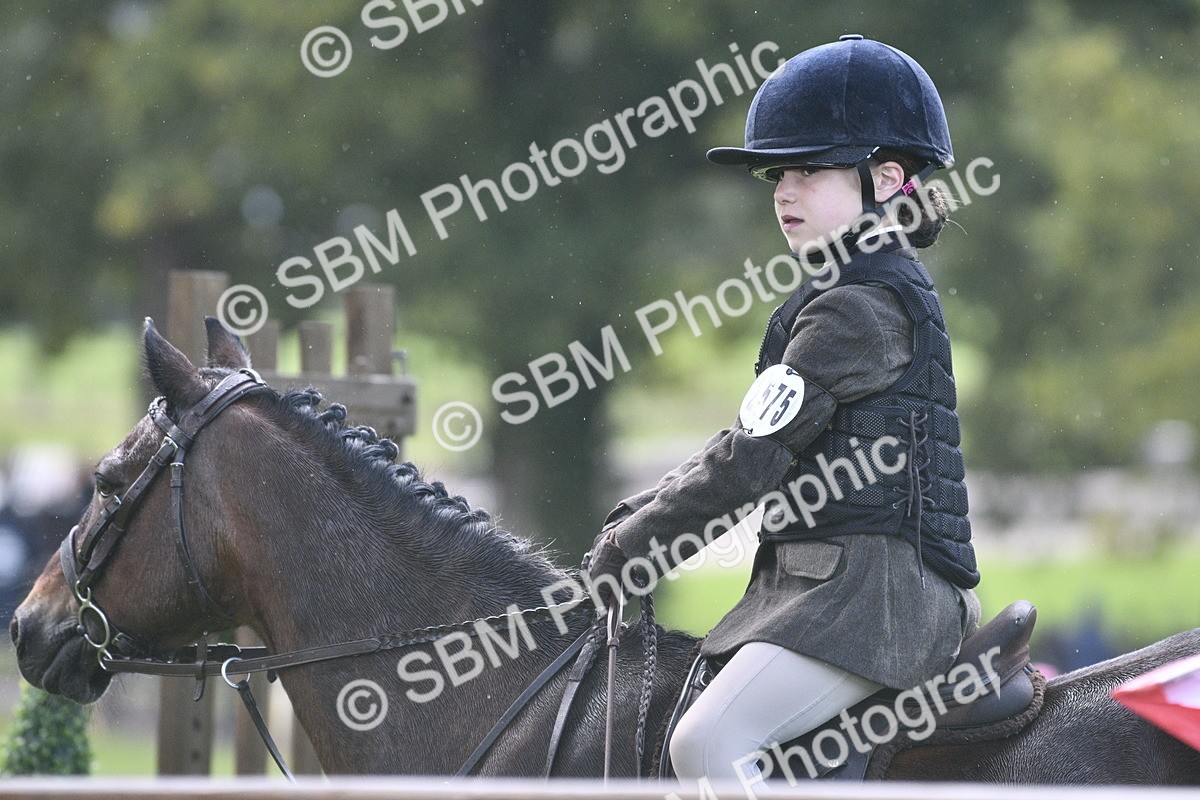 SBM_37168 - S31 - Novice & Newcomer Working Hunter Pony