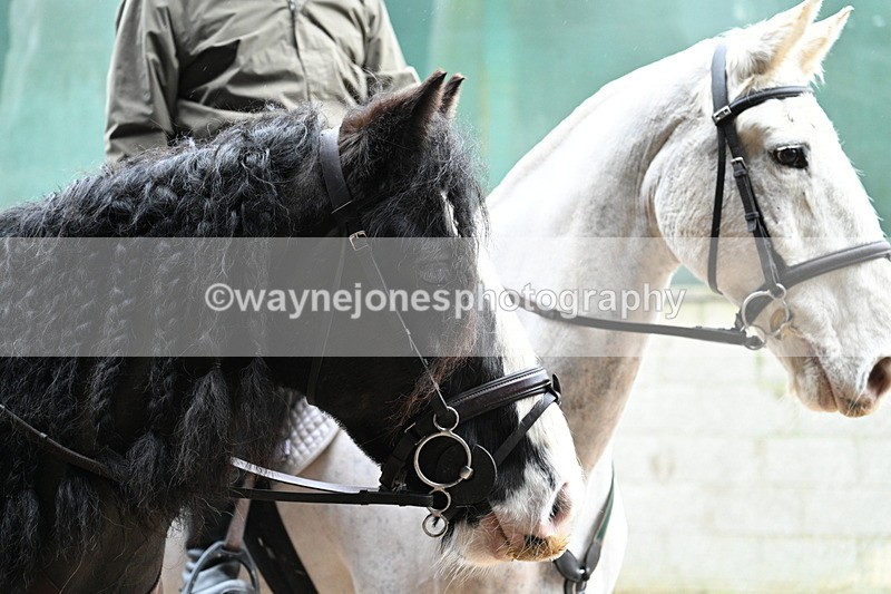 WJ7_8761 - Berks & Bucks - Rowles Farm 15-02-26